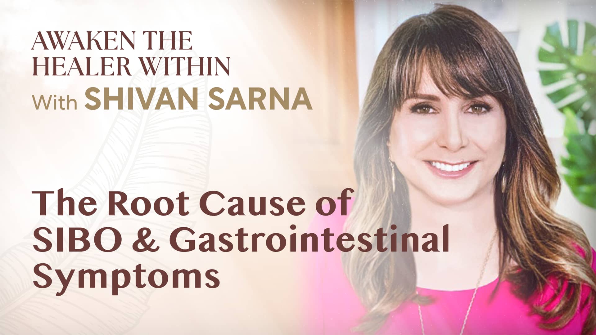 The Root Cause of SIBO & Gastrointestinal Symptoms